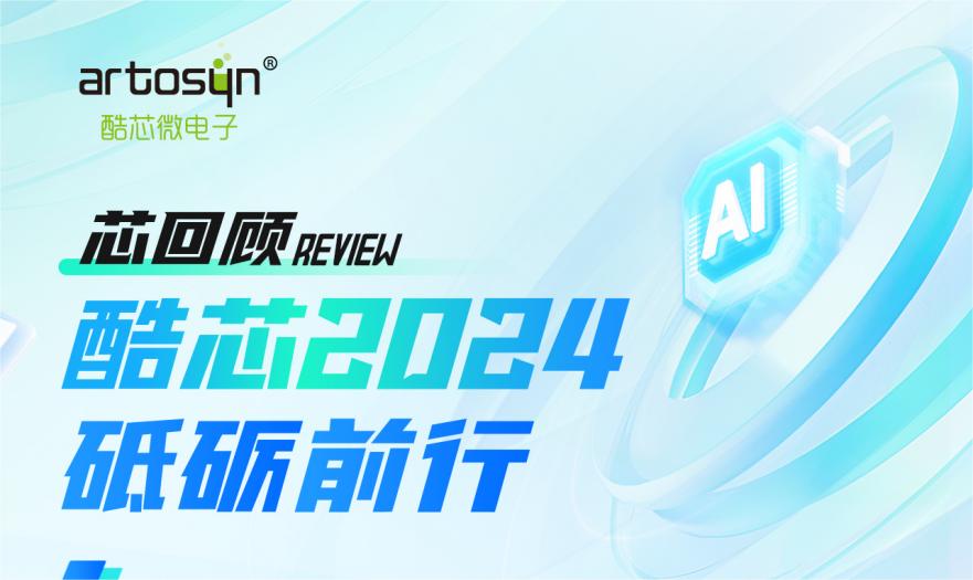 酷芯2024年终回顾
